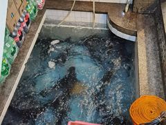 -旭龙鱼头王(航华店)