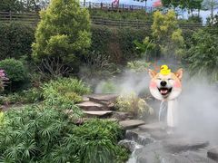 -广州莲花山旅游区