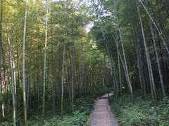 -南山风景名胜区