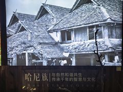-西双版纳原始森林公园