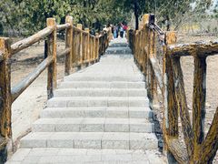 -白水寺森林公园