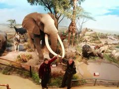 -陕西自然博物馆