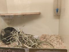 -龙猫仔乐园(惠福东路店)