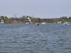 -杭州湾海上花田景区