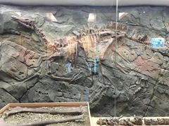 -嘉荫恐龙国家地质公园