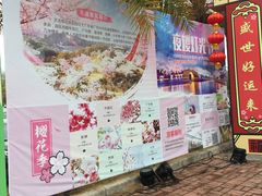 -天适樱花悠乐园