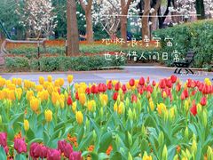 -徐家汇公园