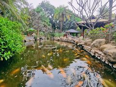 -厦门日月谷温泉渡假村