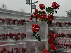 -万达广场(龙湖店)