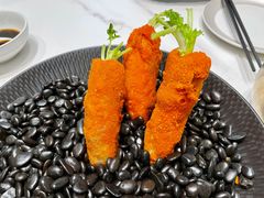 -丁老爷子苏香圆