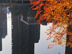 -洋湖国家湿地公园