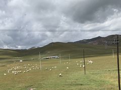 -扁都口生态休闲旅游区