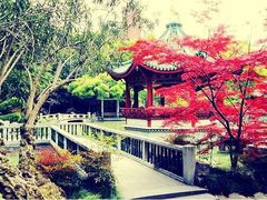 -申粤轩酒楼·三十年粤菜经典(丁香花园店)