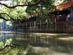 -小洲村