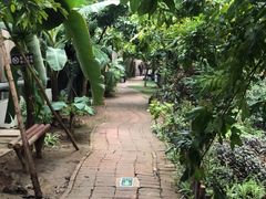 -呀路古热带植物园