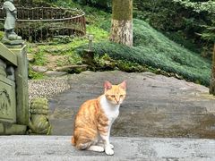 -东天目山风景区