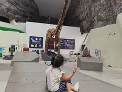 -中华赏石园
