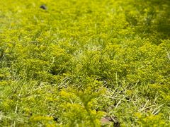 -中国湿地博物馆