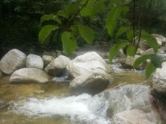 -陕西省红河谷森林公园