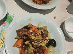 -新侨小馆(东直门北小街店)