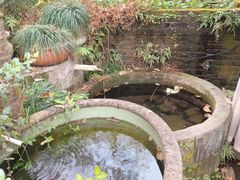 -野蔓果·山野菜(西湖景区·龙井茶田店)