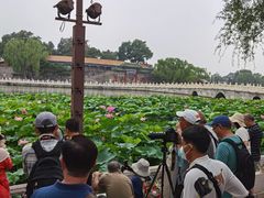 -南关北海公园