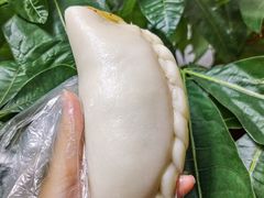 -张果佬年糕卷(科巷店)
