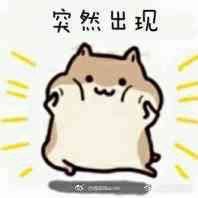 -新廊桥(原科华廊桥店)