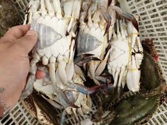 -东戴河风景区-止锚湾