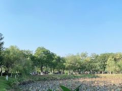 -松山湖南湖湾露营营地
