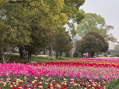 -上海鲜花港