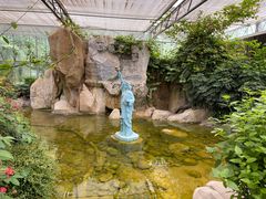 -南宫五洲植物乐园