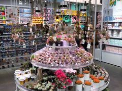 -KKV(深圳kk one 店)