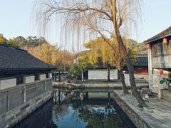 -鲁镇