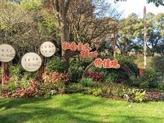 -中国茶叶博物馆(双峰馆区)