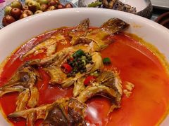 -马仕玖煲·融合菜·酥不腻烤鸭(人大店)