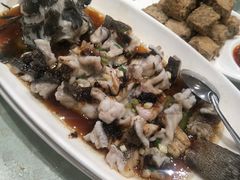清蒸石斑鱼-顺风海鲜港(金玉兰店)