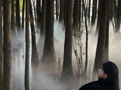 -东湖落雁景区