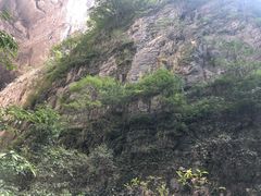 -重庆武隆天生三桥风景区-神鹰天坑