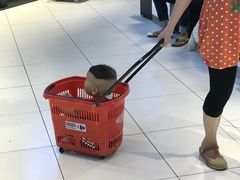 -家乐福(古北店)