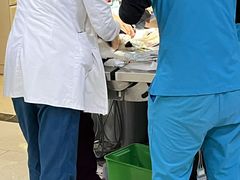 -美联众合动物医院·24h转诊中心
