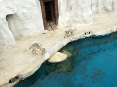 -秦皇岛乐岛海洋王国