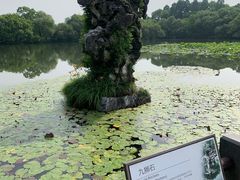 -西湖游船