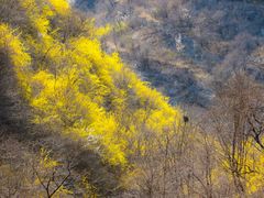 -潭溪山