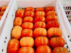 -江杨农产品批发市场