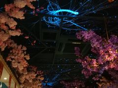 大堂-香阁餐厅·常州菜·常州菜代表品牌(新北奥体店)