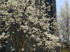 -同济大学(嘉定校区)