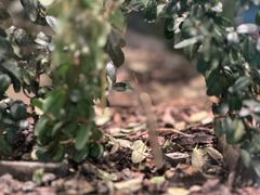 -上海昆虫博物馆