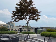 -杭州君悦酒店