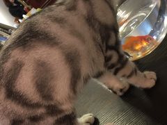 -肆兮眼镜·蔡司·徕卡战略合作店(大坪店)